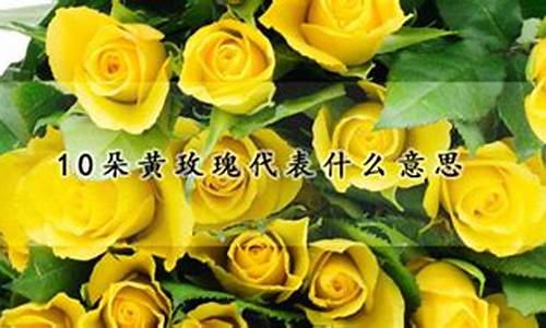 10朵黄玫瑰代表什么意思_黄玫瑰一般送什么人