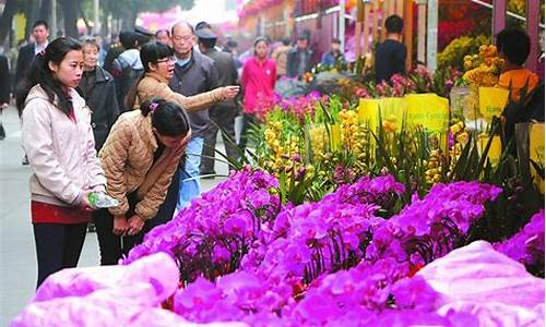 广州花市场_广州花市场在哪里